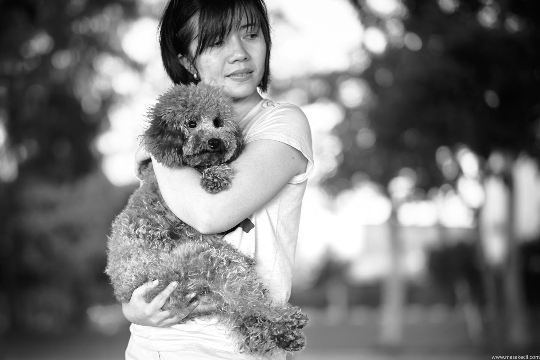 A poodle at the park. Photography by Hendra Lauw.