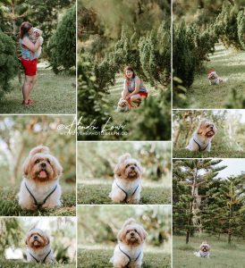 Singapore outdoor pet dog photography