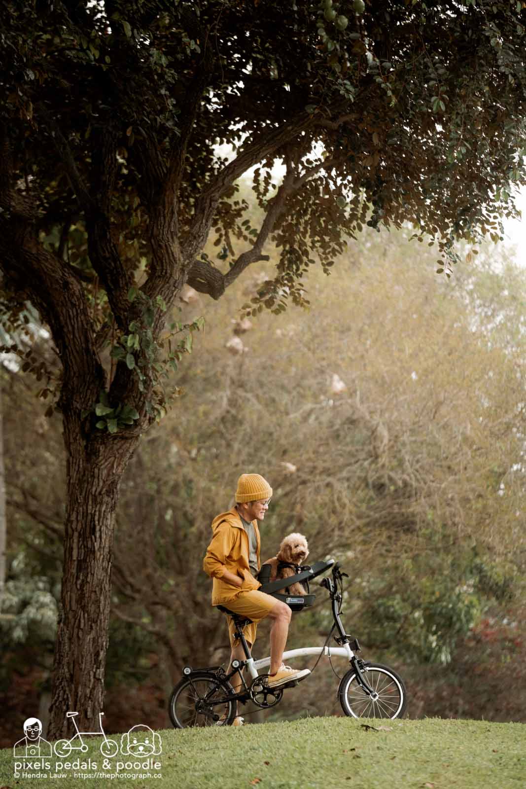 Cycling photographer and his poodle