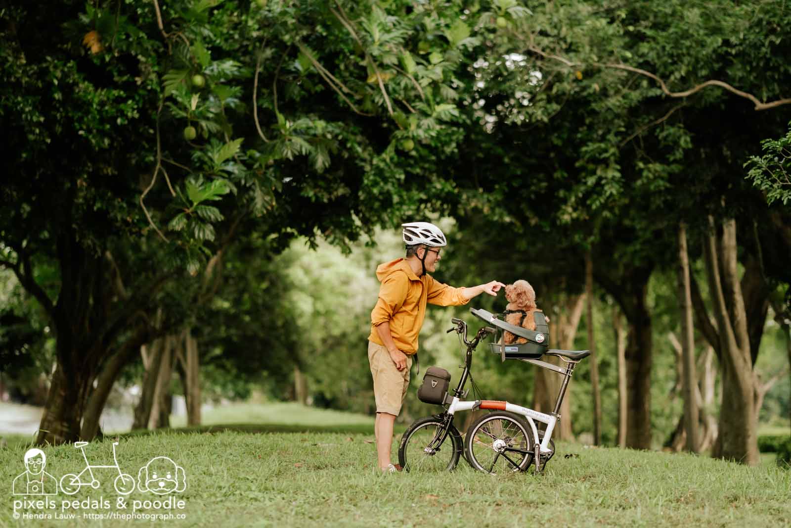 A photographer and his dog sitting on a pet seat on the bike