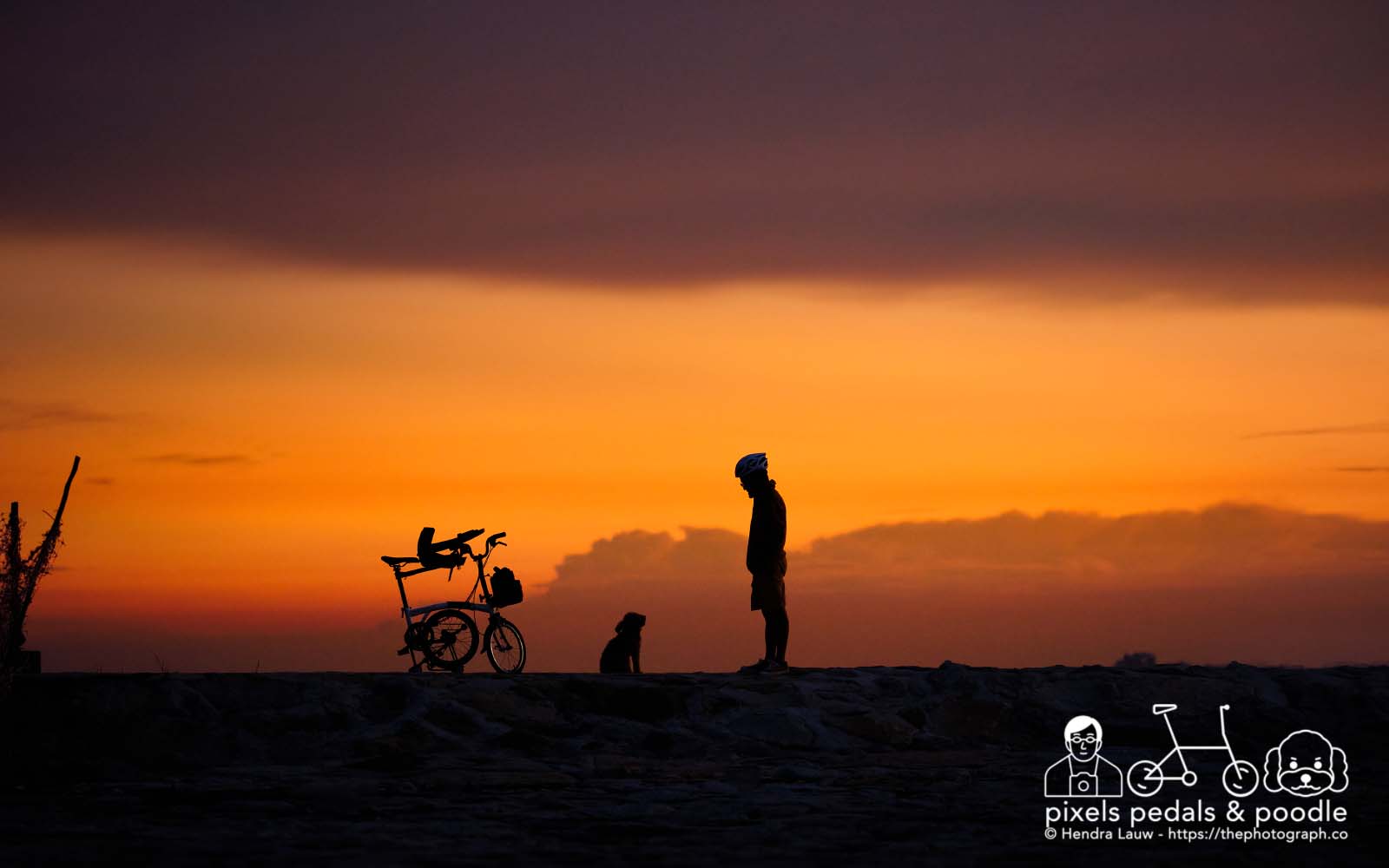 Poodle bike and a photographer during sunset at Marina East Breakwater