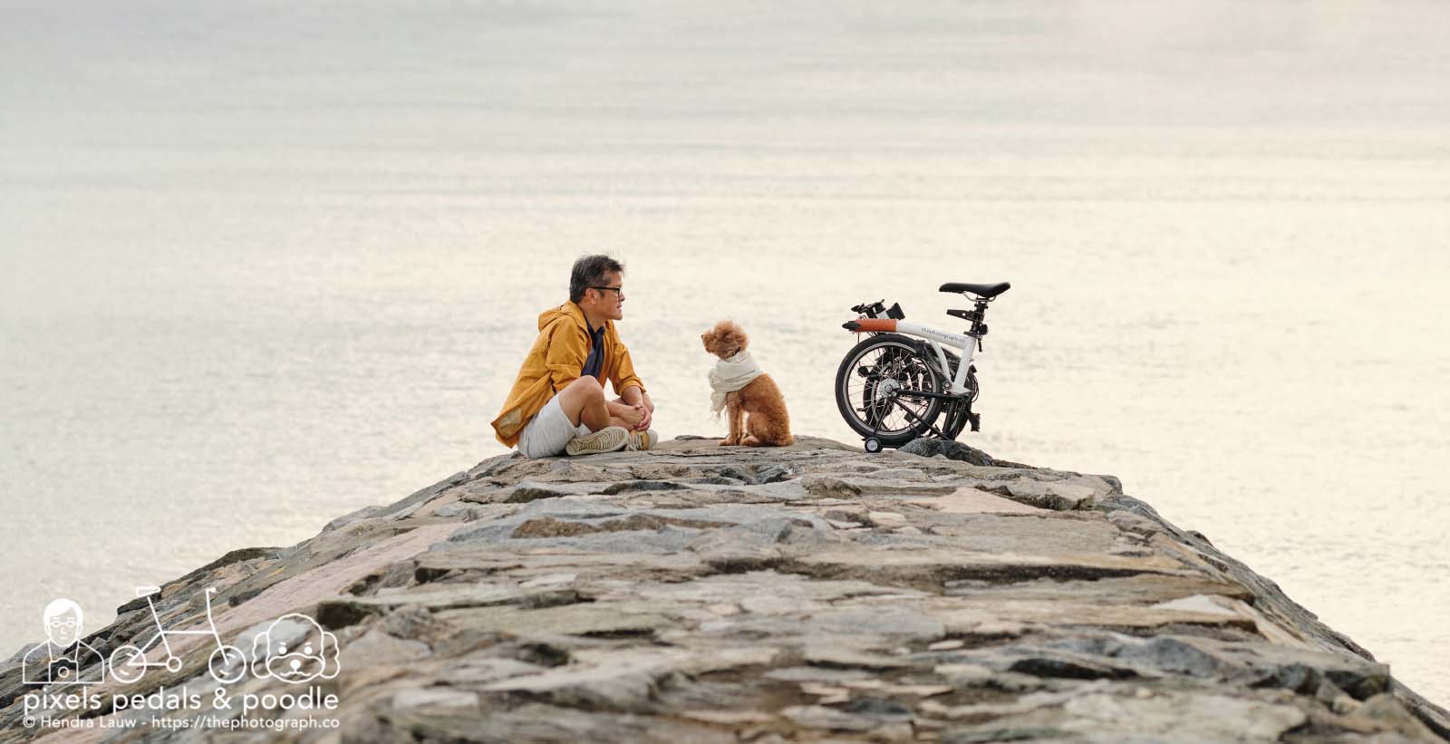 Photographer Dog and Bike At East Coast Breakwater