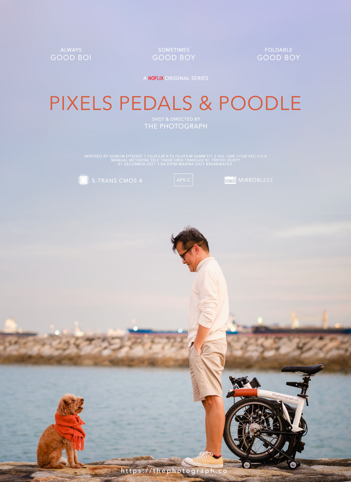 Goblin-inspired movie poster by Hendra Lauw Pixels Pedals and Poodle