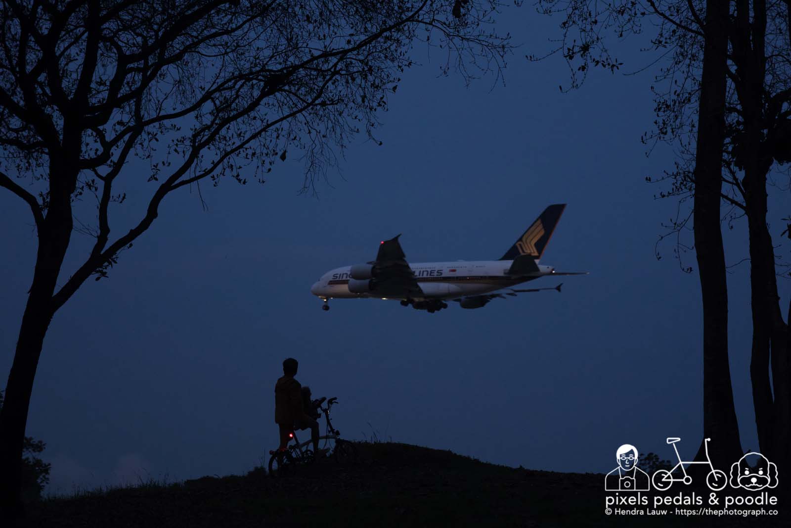 Plane Spotting SIA 9V-SKN by Pixels Pedals and Poodle 20230419