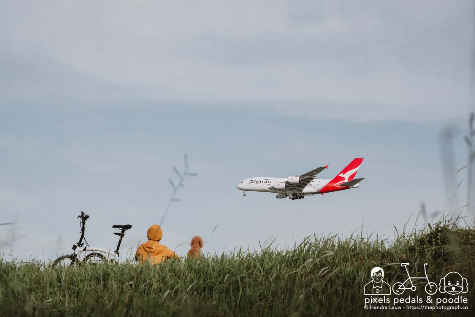 Plane Spotting Qantas VH-OQJ by Pixels Pedals and Poodle 20230224