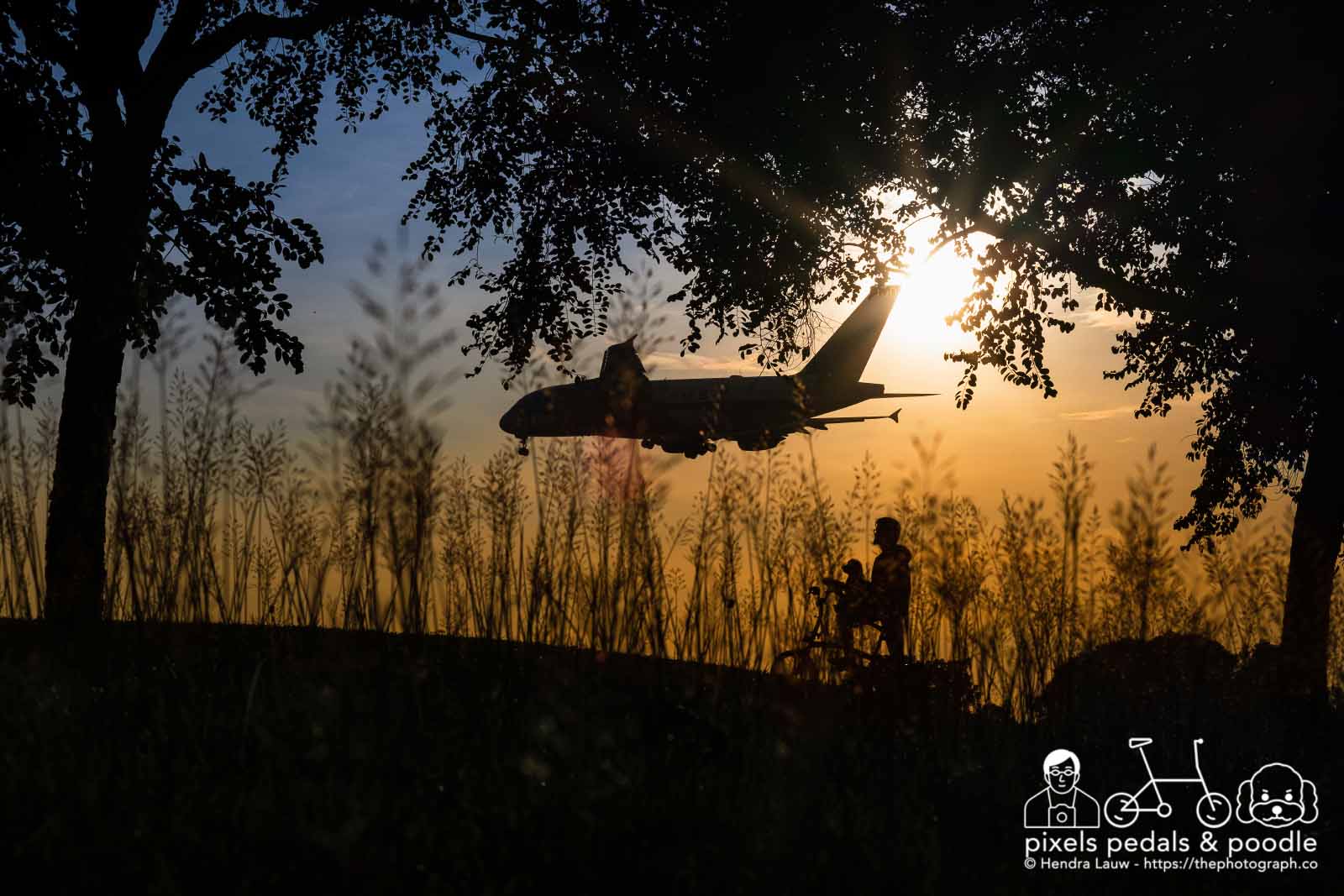 Plane Spotting Singapore Airlines Airbus A380 9V-SKM arriving from London during sunrise