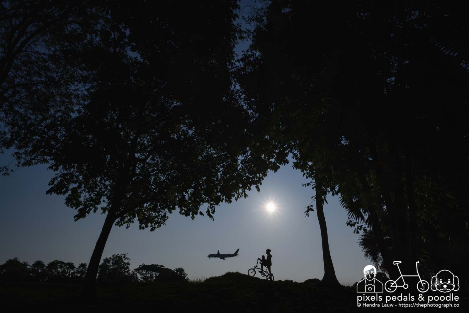 Plane Spotting Singapore Airlines SQ331 arriving from Munich by Hendra Lauw