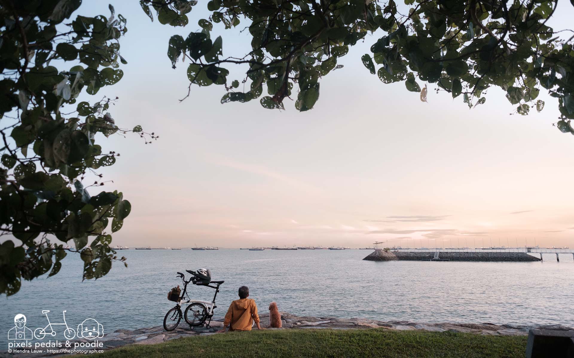 A cycling photographer and his dog watching sunset at East Coast Park