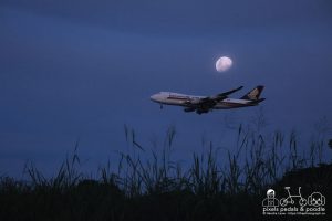 Plane spotter - Singapore Airlines Cargo Boeing 747 9V-SFK approaching Changi Airport at dusk